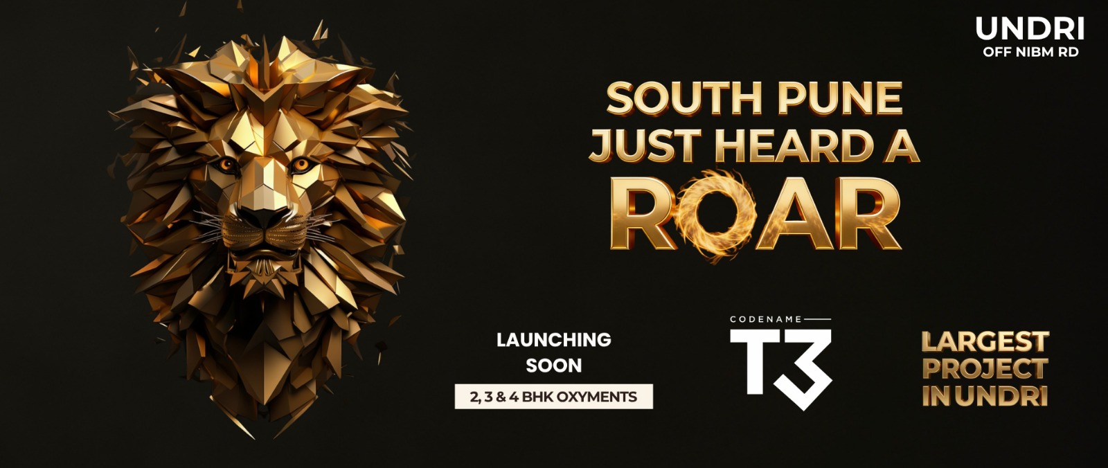 Codename T3 — Undri's Largest Project — South Pune Just Heard A Roar